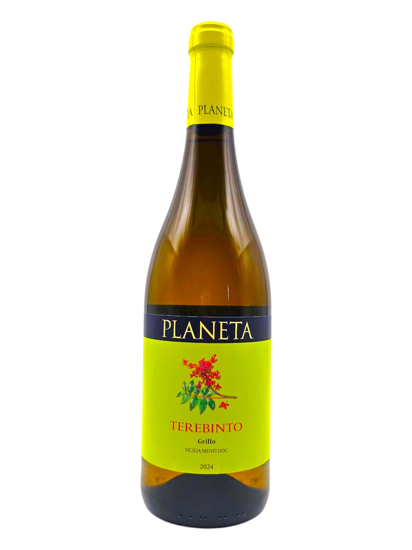 Terebinto Grillo Planeta 2024